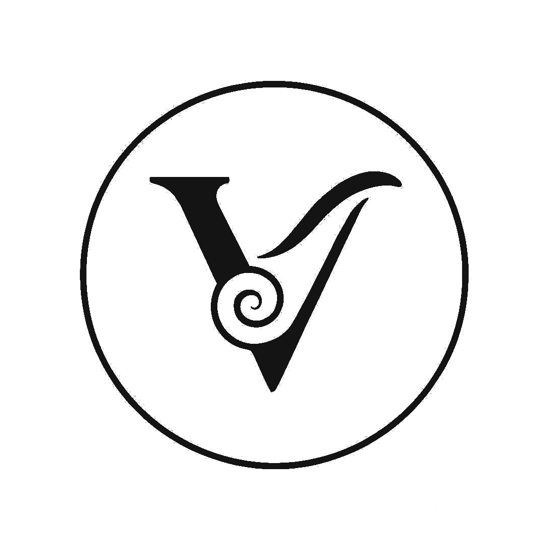 vzaydesign.com